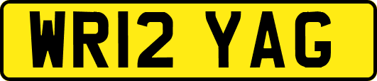 WR12YAG
