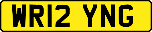 WR12YNG