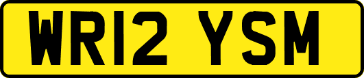 WR12YSM