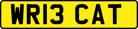 WR13CAT