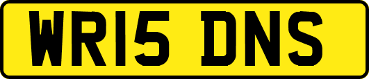 WR15DNS
