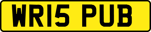 WR15PUB