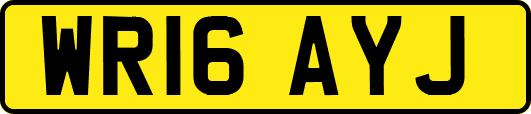 WR16AYJ