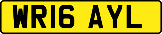WR16AYL