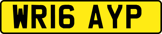 WR16AYP