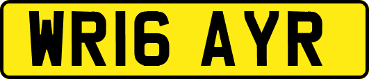 WR16AYR