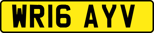 WR16AYV