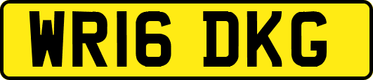 WR16DKG
