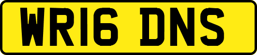WR16DNS