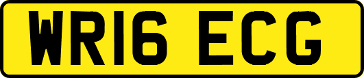 WR16ECG