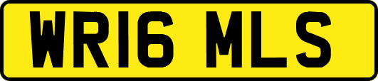 WR16MLS