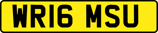 WR16MSU
