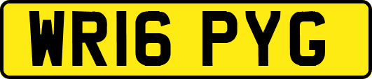 WR16PYG