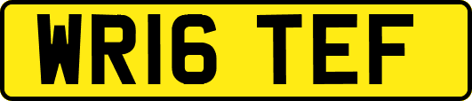 WR16TEF
