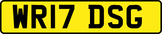 WR17DSG