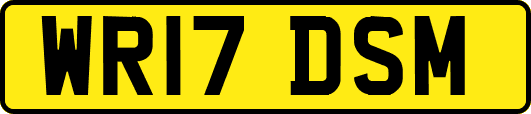 WR17DSM