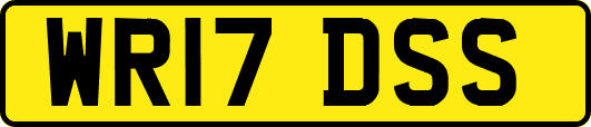 WR17DSS
