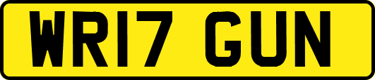 WR17GUN