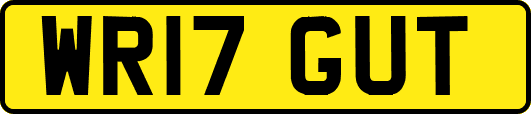 WR17GUT