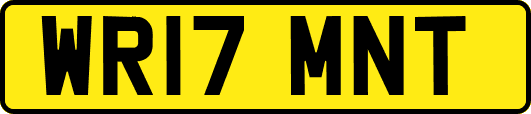 WR17MNT