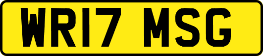 WR17MSG
