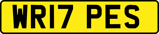 WR17PES