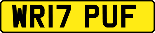 WR17PUF