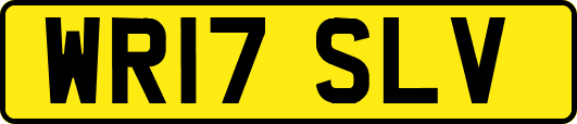 WR17SLV