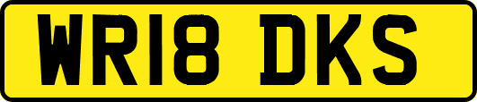 WR18DKS