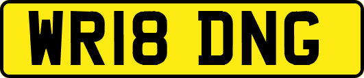 WR18DNG