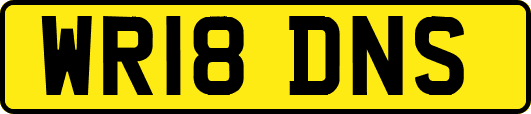 WR18DNS