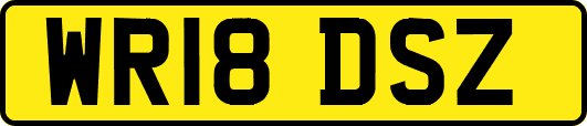 WR18DSZ