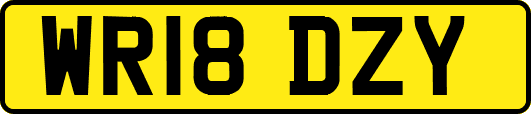 WR18DZY