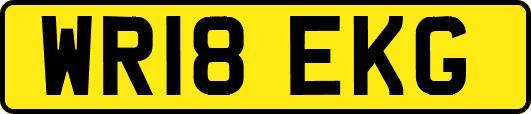 WR18EKG