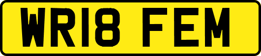 WR18FEM