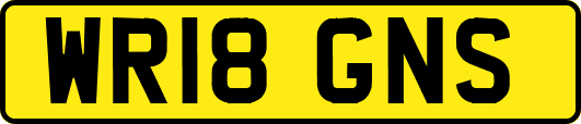 WR18GNS
