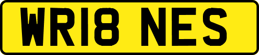 WR18NES