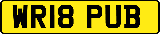 WR18PUB