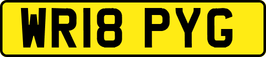 WR18PYG