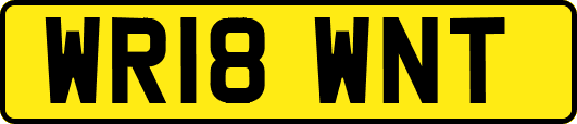 WR18WNT