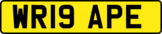 WR19APE