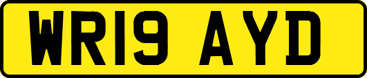 WR19AYD