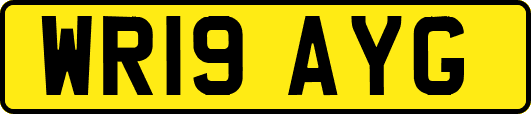 WR19AYG