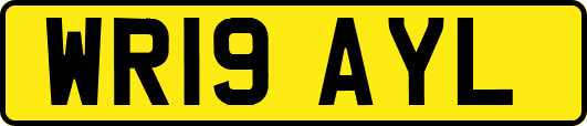 WR19AYL