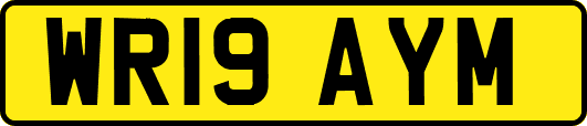 WR19AYM