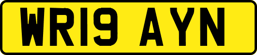 WR19AYN