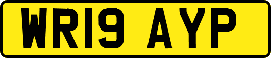 WR19AYP