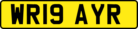 WR19AYR