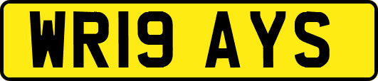 WR19AYS