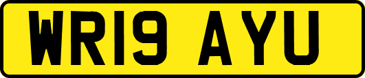 WR19AYU